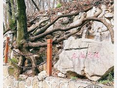 -皇藏峪国家森林公园