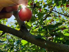 -春晖园度假酒店温泉