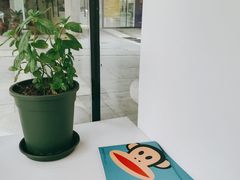 -PaulFrank Tea 大嘴猴奶茶