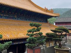 -普陀山风景名胜区-法雨禅寺