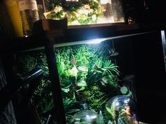 -Joy酒隐(西湖店)