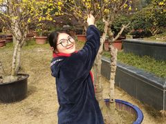 -秀丽东方