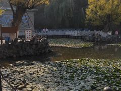 -五泉山公园