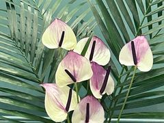 -南堂馆·新川菜(春熙路店)