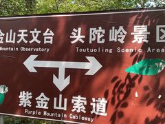-紫金山天文台