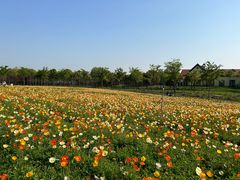 -歌斐颂巧克力小镇