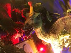 -恐龙探索乐园(磁器口店)