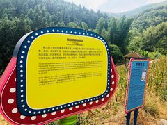 -瓷天下海丝谷