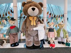 -济州岛泰迪熊博物馆