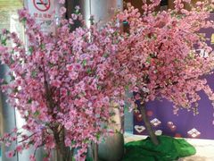 -红星电影世界开元地中海店(RealD杜比全景声)