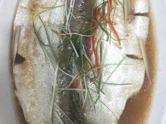 -巢湖名吃·徽府农家菜(半汤店)