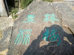 -香雪海