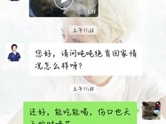 -伟伟宠物医院·CT影像中心·瑞派犬猫综合性门诊(汉口总院)