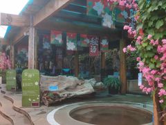 -华侨城阳宗海海景温泉