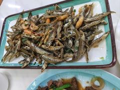 -阿水土鸡(朝阳总店)