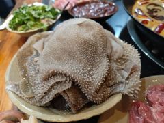 -肥龙火锅(南坪店)