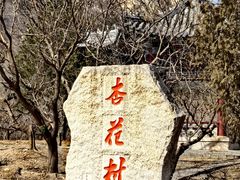 -北京凤凰岭