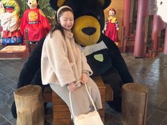 -济州岛泰迪熊博物馆