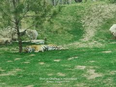 -北京野生动物园