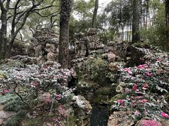 -天一阁博物院