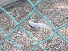 -南京金牛湖风景区