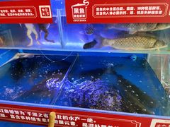 -集草轩·重庆麻辣烤鱼(西湖道店)