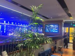 -bluefrog蓝蛙(新三里屯太古里店)