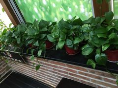 -金豆角砂锅焖面(安贞店)