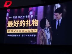 -枫花园汽车电影院(朝阳公园店)