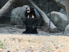 -清迈夜间动物园