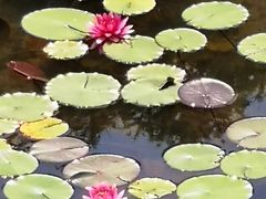-尚贤河湿地