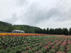 -富田农场