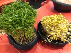 -巴九门老火锅(来福士打望店)