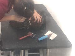 -美联众合24小时·皮肤科·外科·全科诊疗中心(华苑分院)