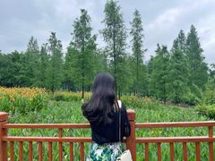-重庆彩云湖湿地公园