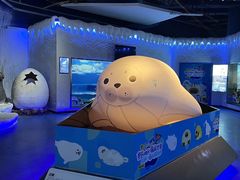 -重庆欢乐海底世界