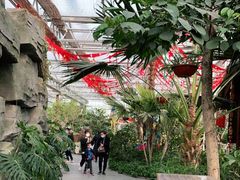 -南宫五洲植物乐园