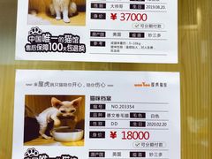 -屋虎猫馆(宝安大仟里店)