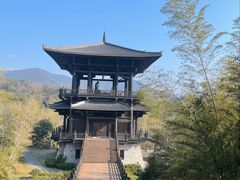 -大唐贡茶院