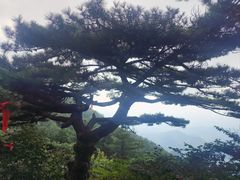 -罗田薄刀峰风景区