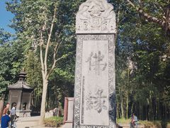 -西安大兴善寺