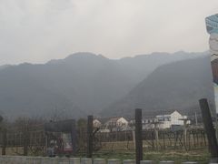 -仙游寺