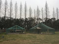 -前小桔亲子创意农场·草莓采摘·露营烧烤