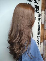 -藤野造型