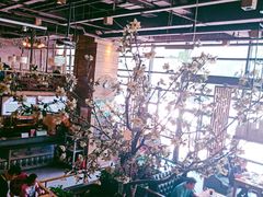 大堂-山有花啡餐厅(常营总店)