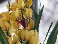 -芳姐重庆名小吃(八宝前街店)