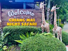 -清迈夜间动物园