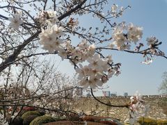 -鸡鸣寺