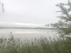 -野鸭湖国家湿地公园