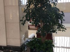 -苏州香山国际大酒店